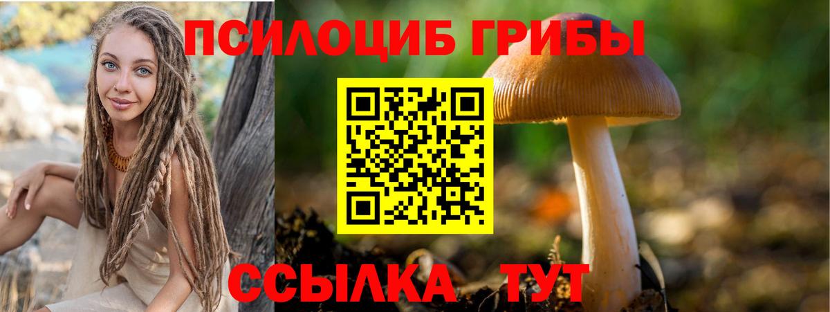 Псилоцибиновые грибы Magic Shrooms  Вход с VPN  Городец 