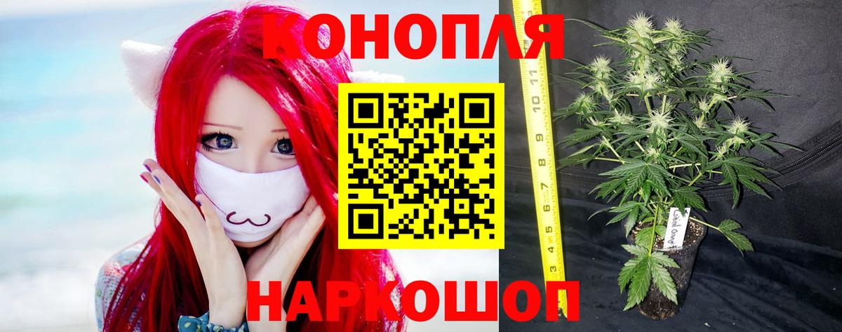 Городец  Бошки Шишки White Widow  Бошки марихуана марихуана  МАРИХУАНА сатива  Вход с VPN 